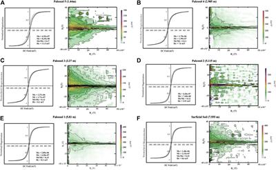 The Effect of Differential Weathering on The Magnetic Properties of Paleosols: A Case Study of Magnetic Enhancement vs. Magnetic Depletion in the Pleistocene Blackwater Draw Formation, Texas